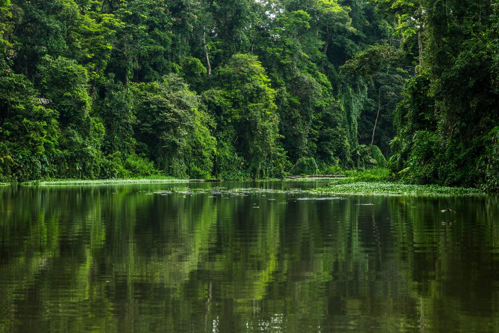 tortuguero costa rica