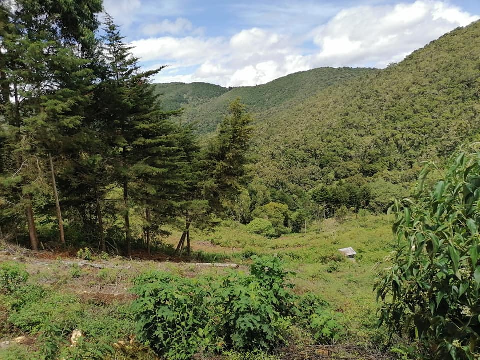 Senderismo nocturno en Volcán Irazú experiencia natural y segura