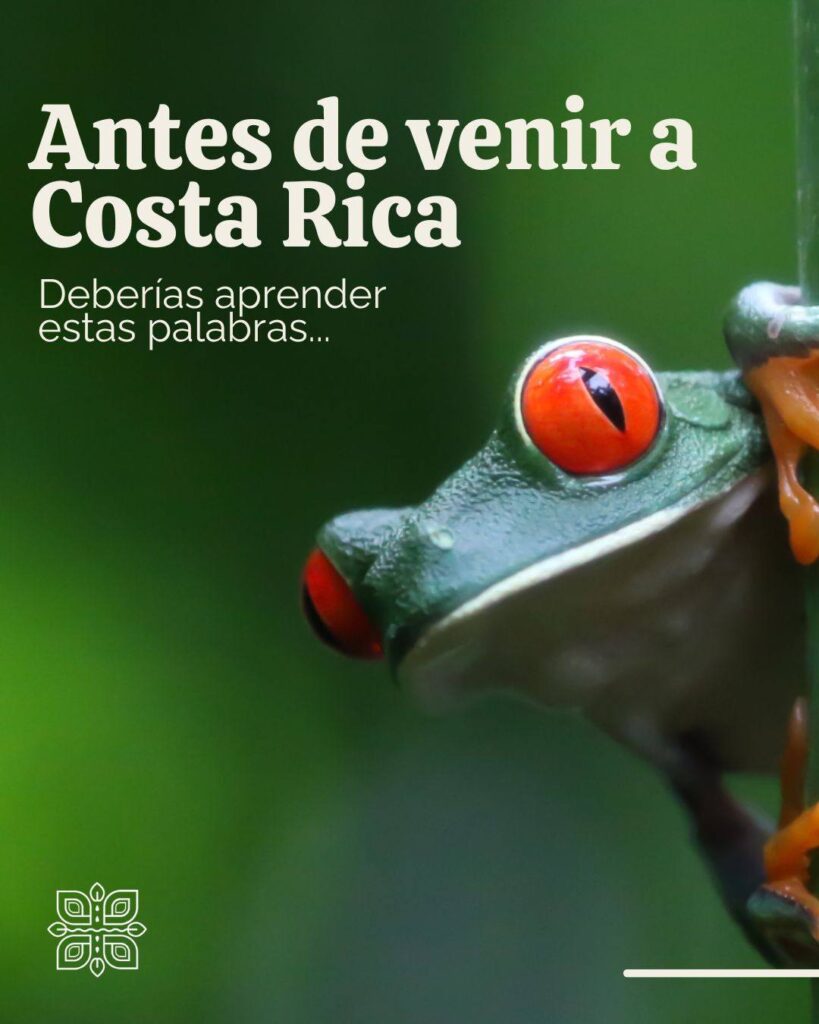 Desde España a la Selva Mágica Mi Viaje a Costa Rica La Verdad de Pura Vida2