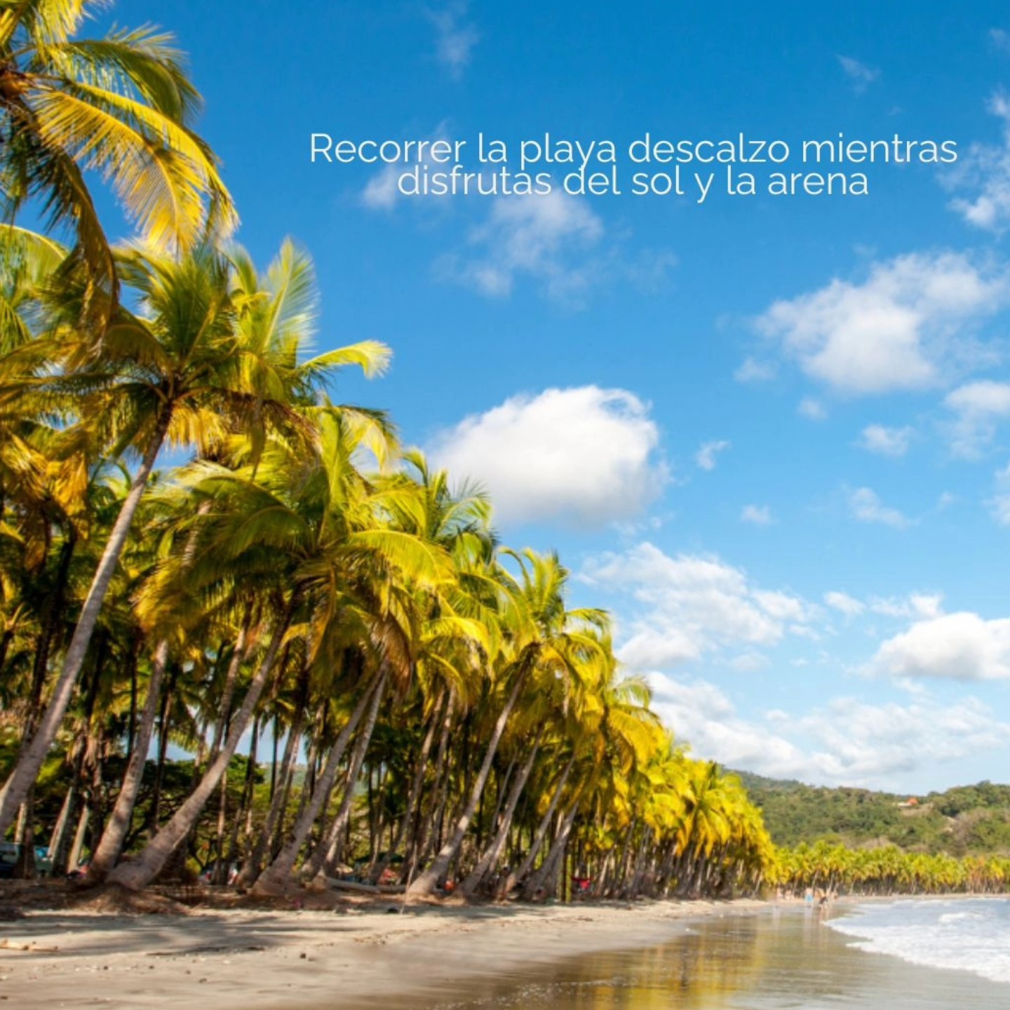 Nuestros Ticos y Ticas el Corazón de Tu Aventura con Natura Tours