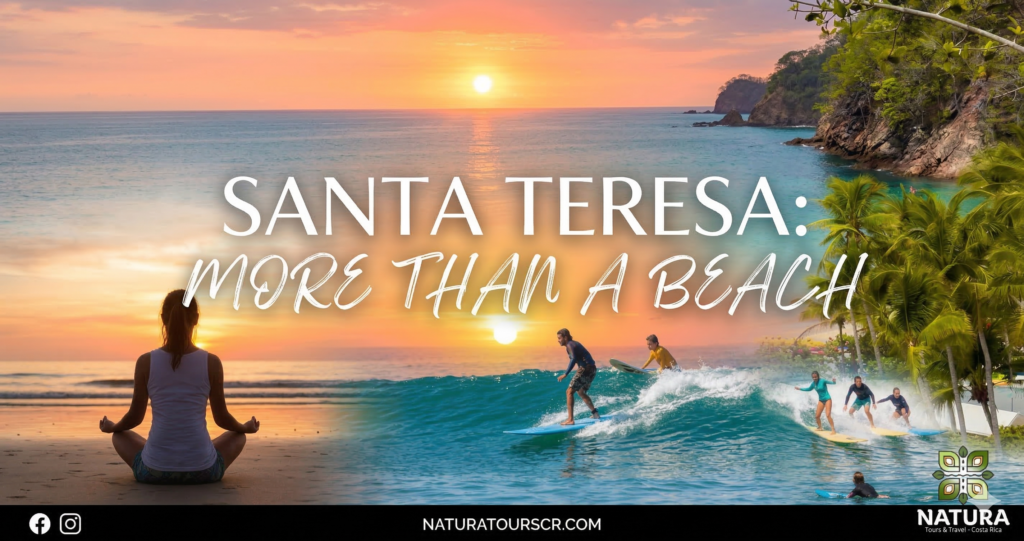 Santa Teresa es más que playa Guía definitiva para vivir el alma de Costa Rica1