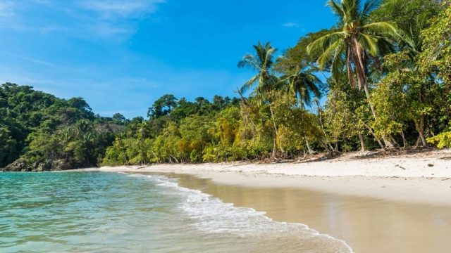 Parque Nacional Manuel Antonio 4