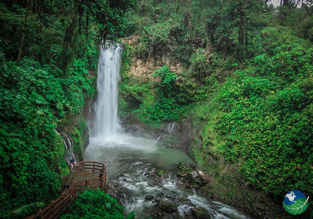 Poás + Café + Catarata La Paz 8